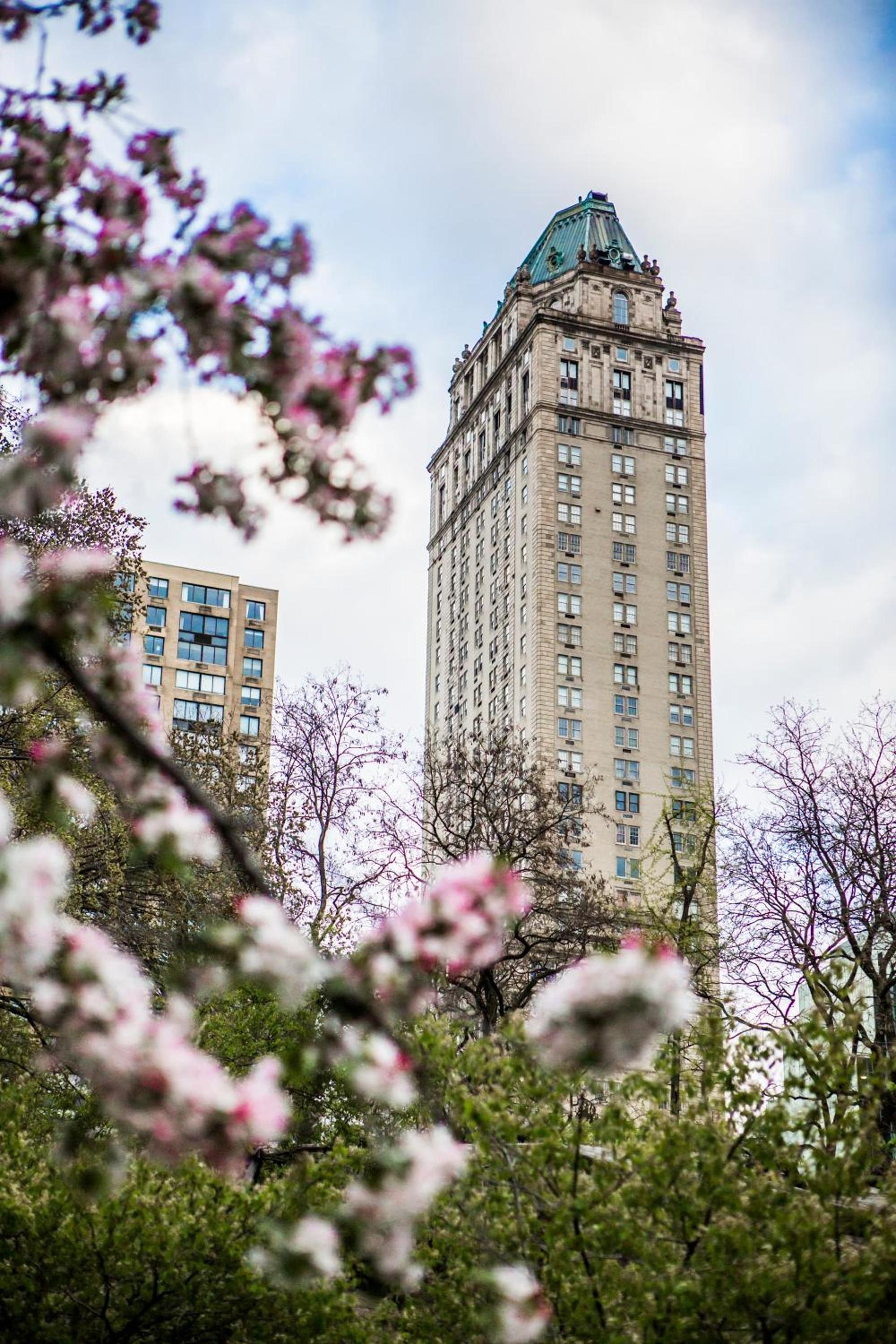 The Pierre, A Taj Hotel, New York photo 3