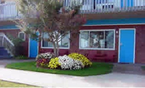 Blue Sea Motor Inn photo 14