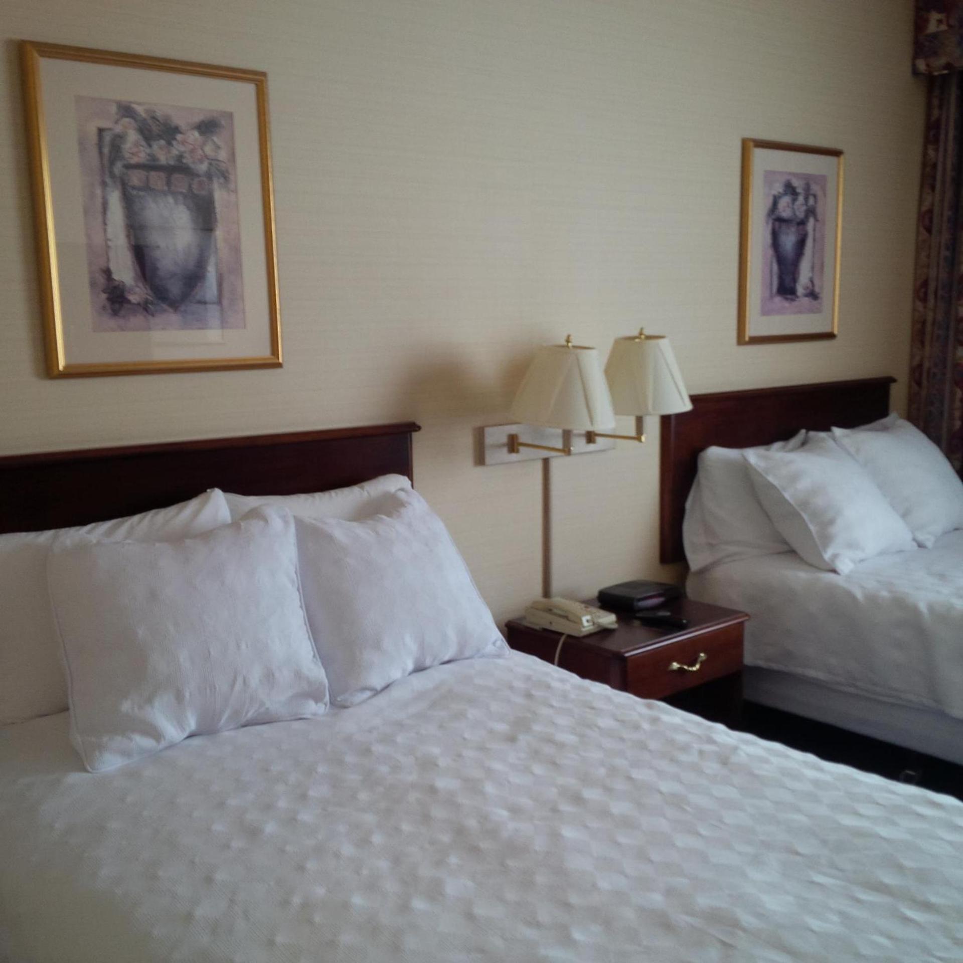 Maron Hotel & Suites photo 20