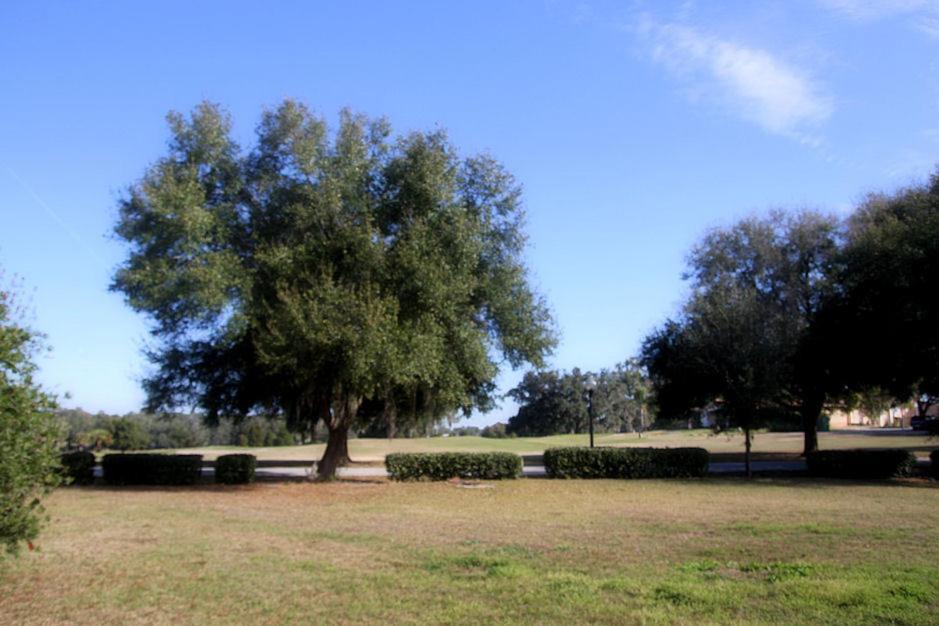 Lakeside Vacations photo 2