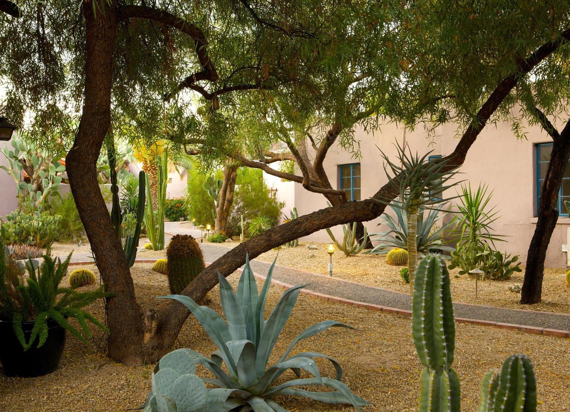 Lodge On The Desert photo 20
