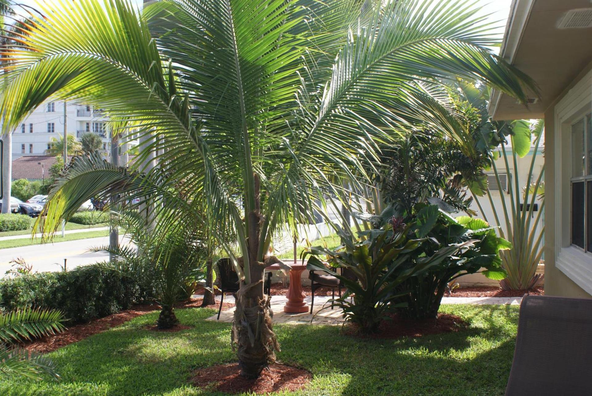 Atlantic Shores Vacation Villas photo 6
