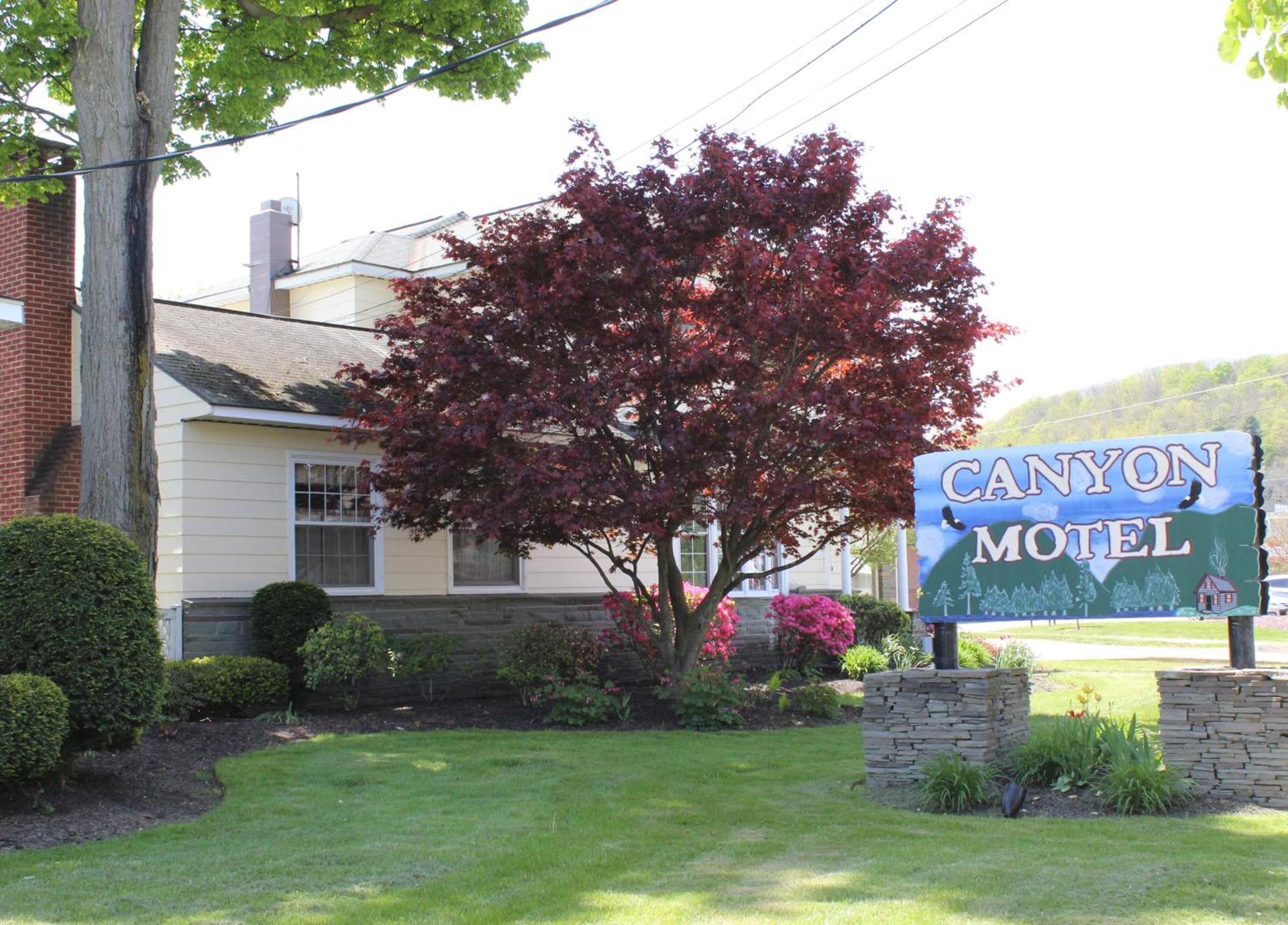 Canyon Motel photo 6
