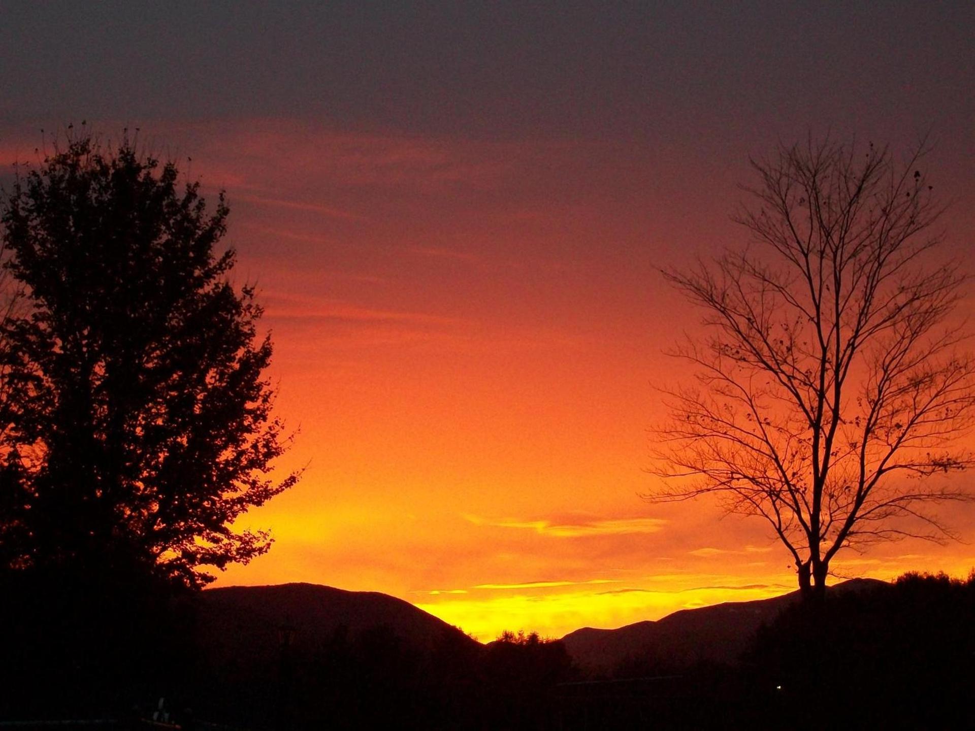 North Colony Motel and Cottages photo 34