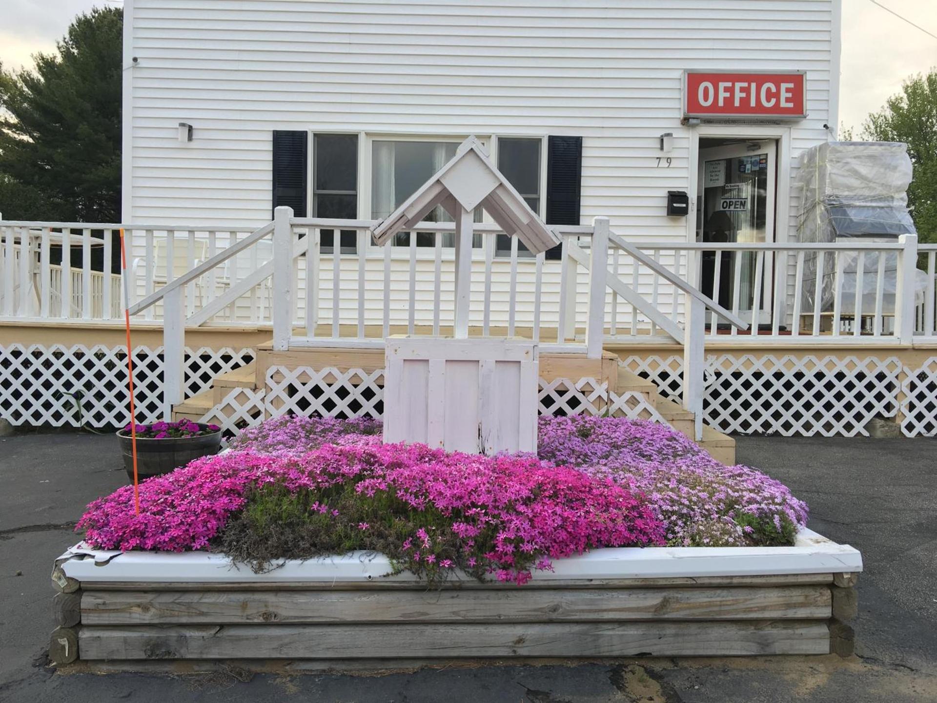 Knotty Pine Motel photo 5