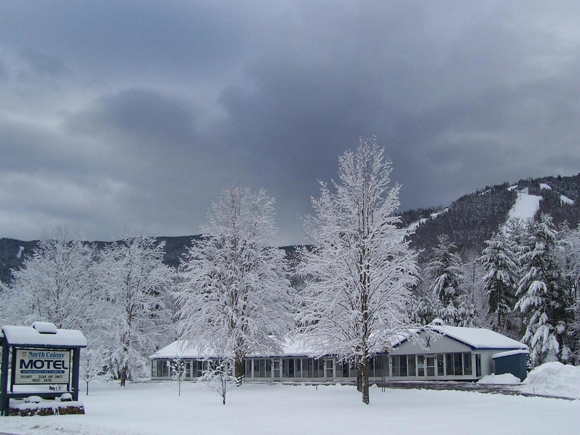 North Colony Motel and Cottages photo 33