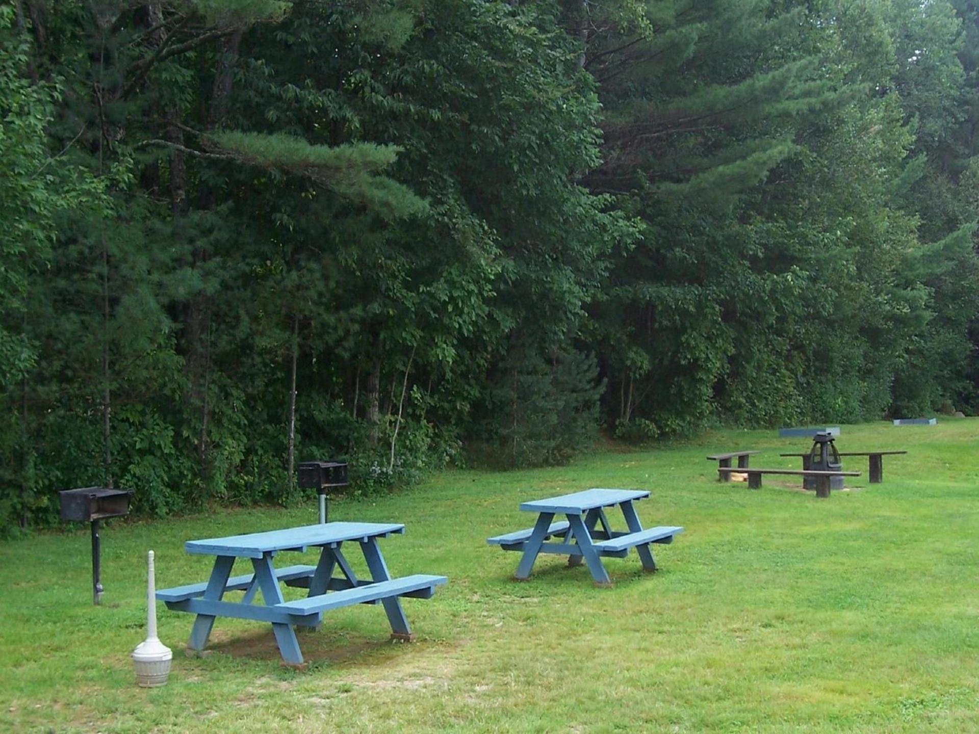 North Colony Motel and Cottages photo 12