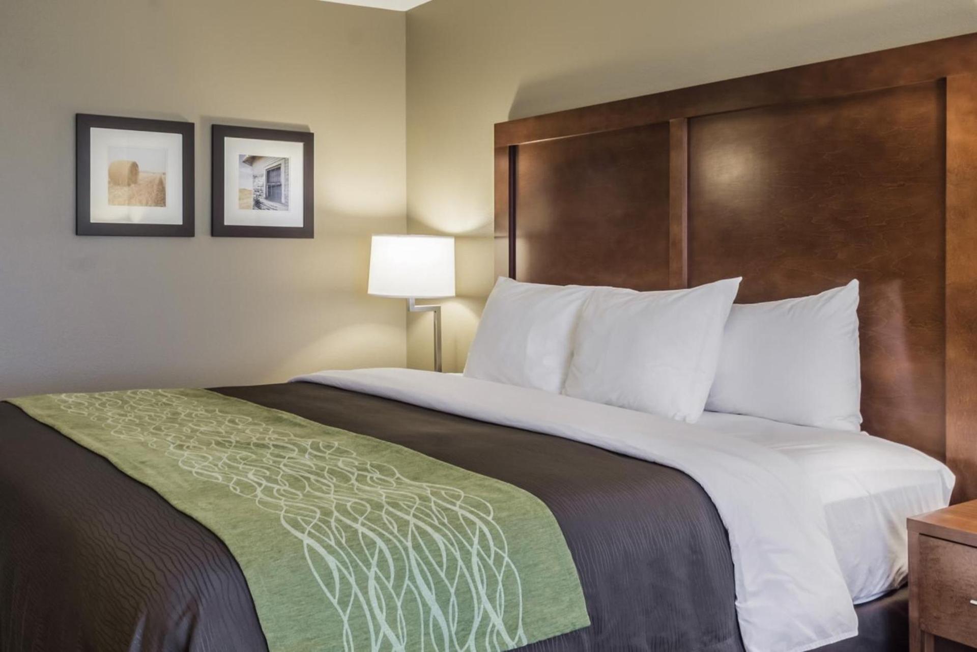 Comfort Inn & Suites Avera Southwest photo 69