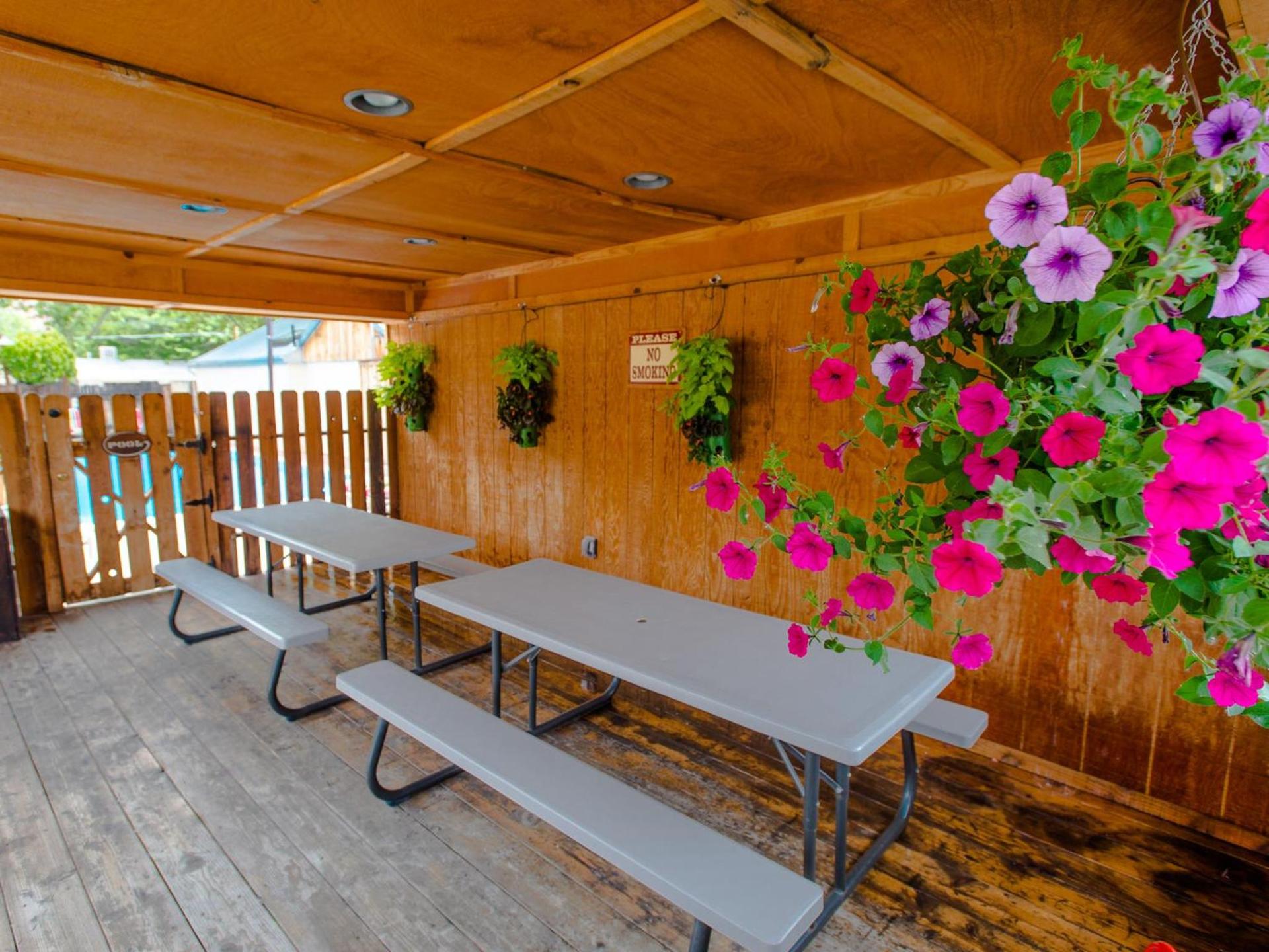 Rustic Inn photo 59
