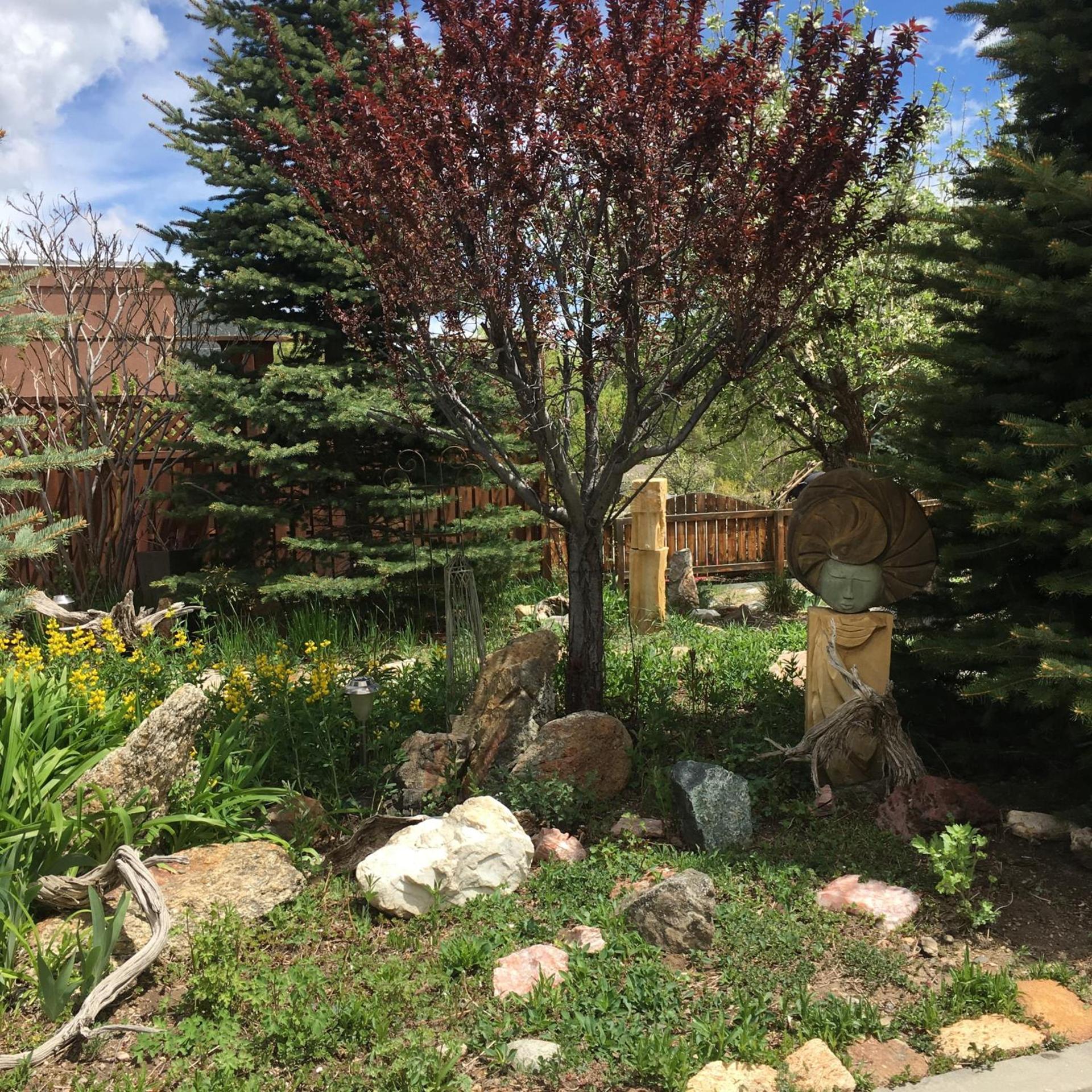 Browns Canyon Inn photo 65