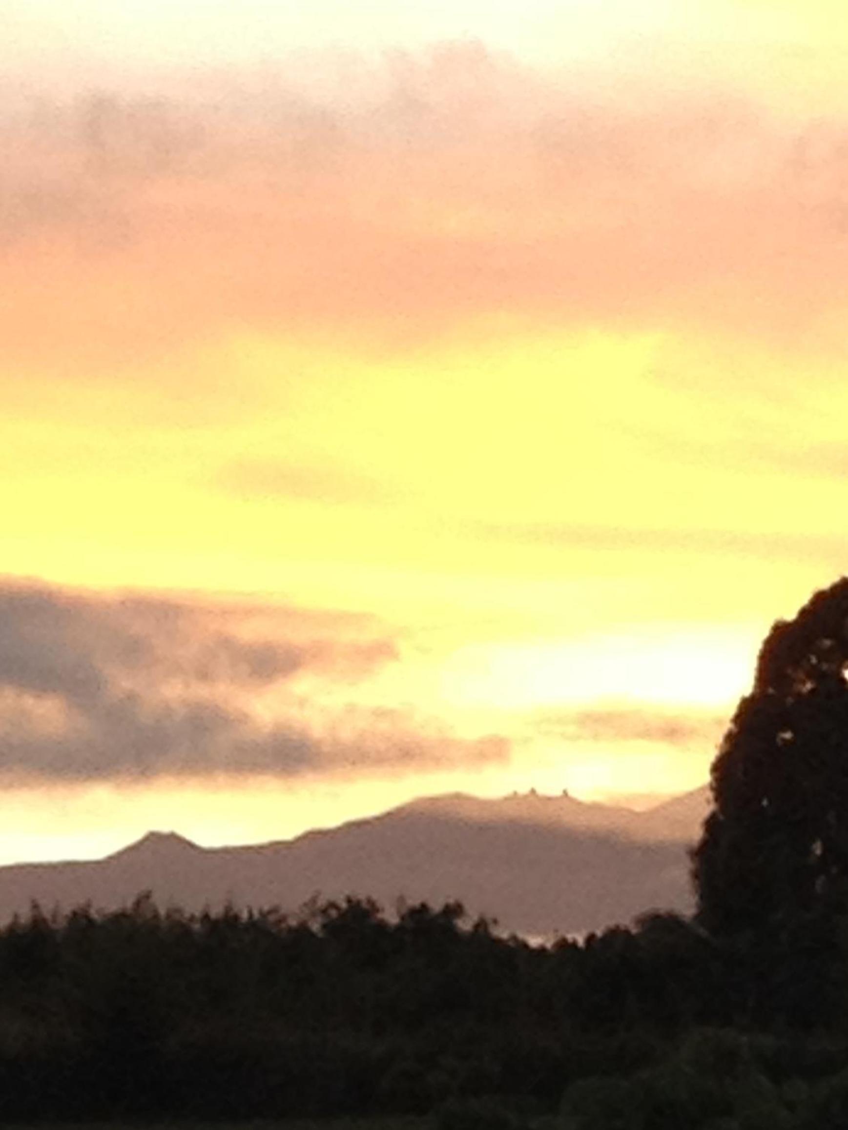 Mahana House Country Inn photo 36