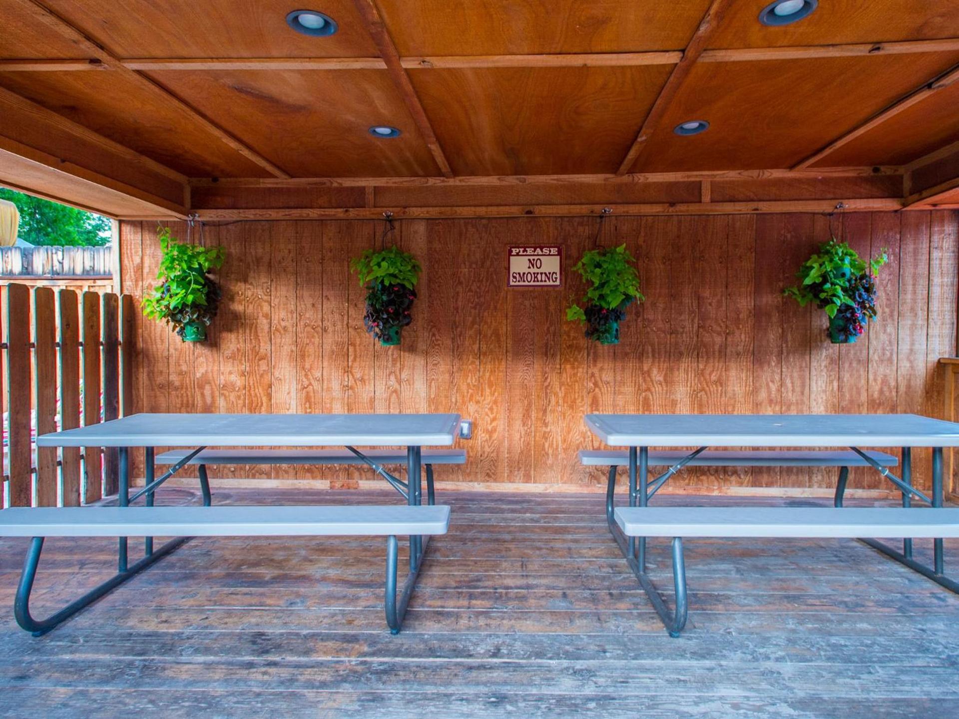 Rustic Inn photo 49
