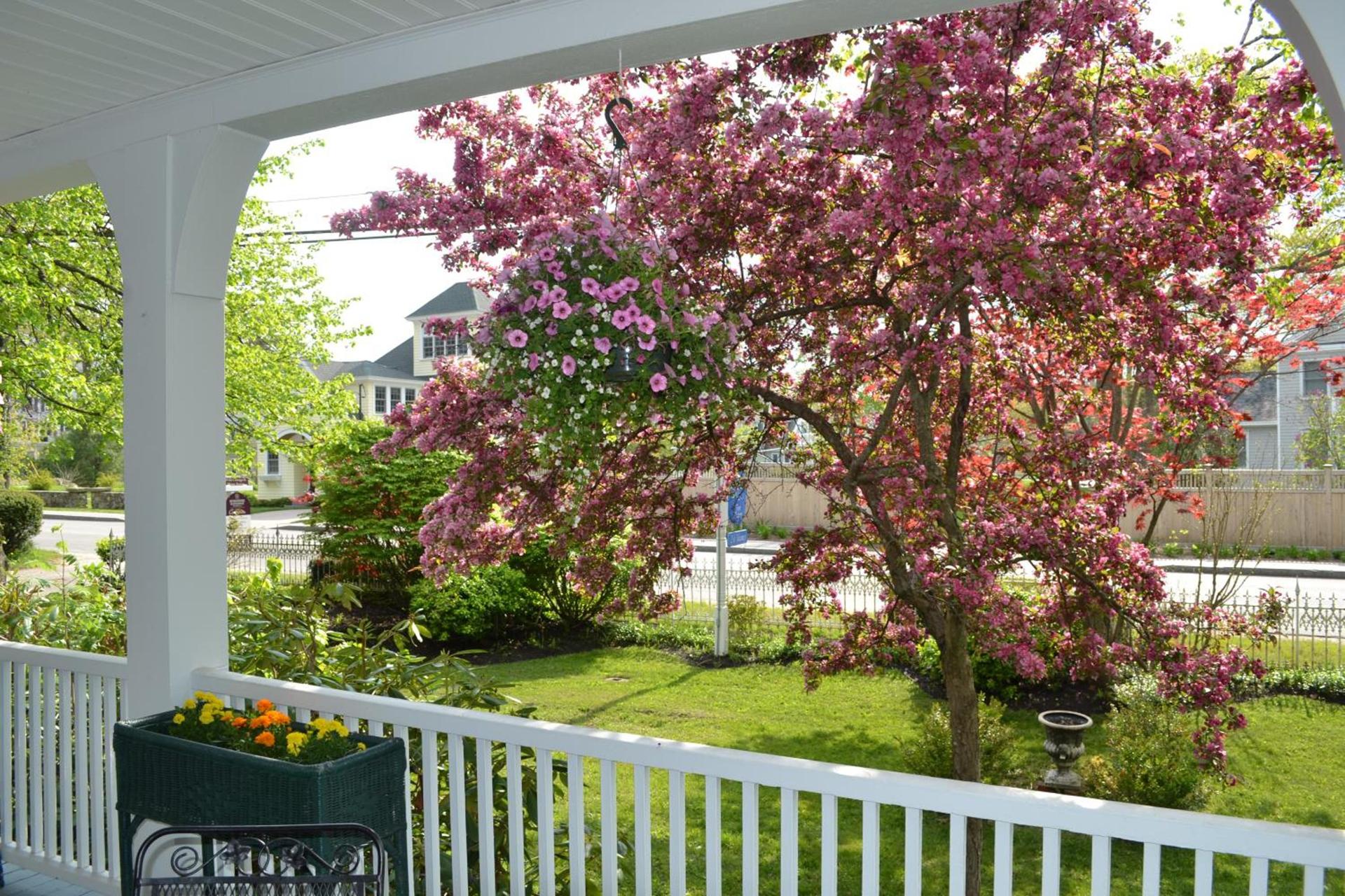 The Harbor Inn photo 10