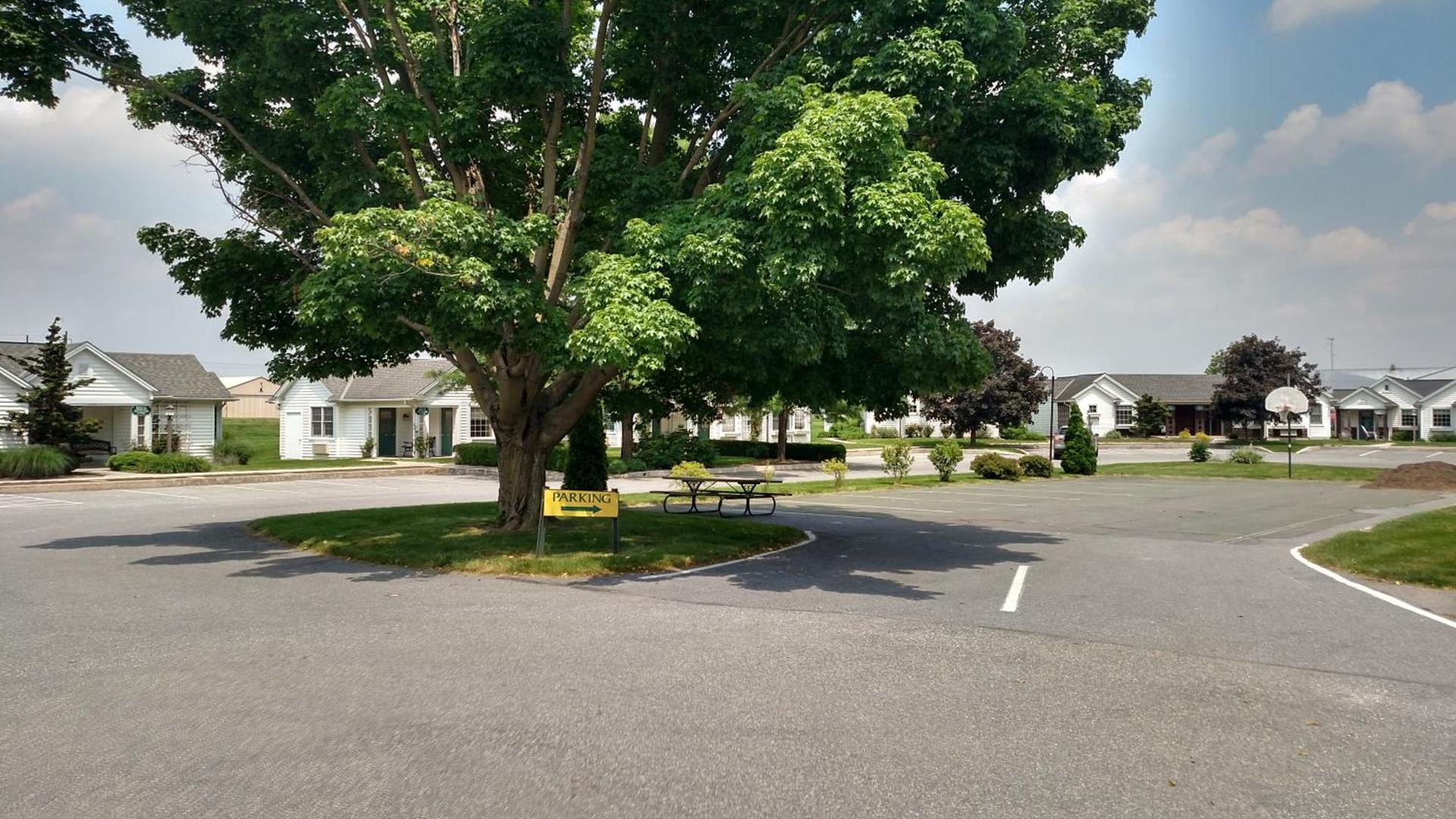 Spruce Lane Lodge and Cottages photo 34
