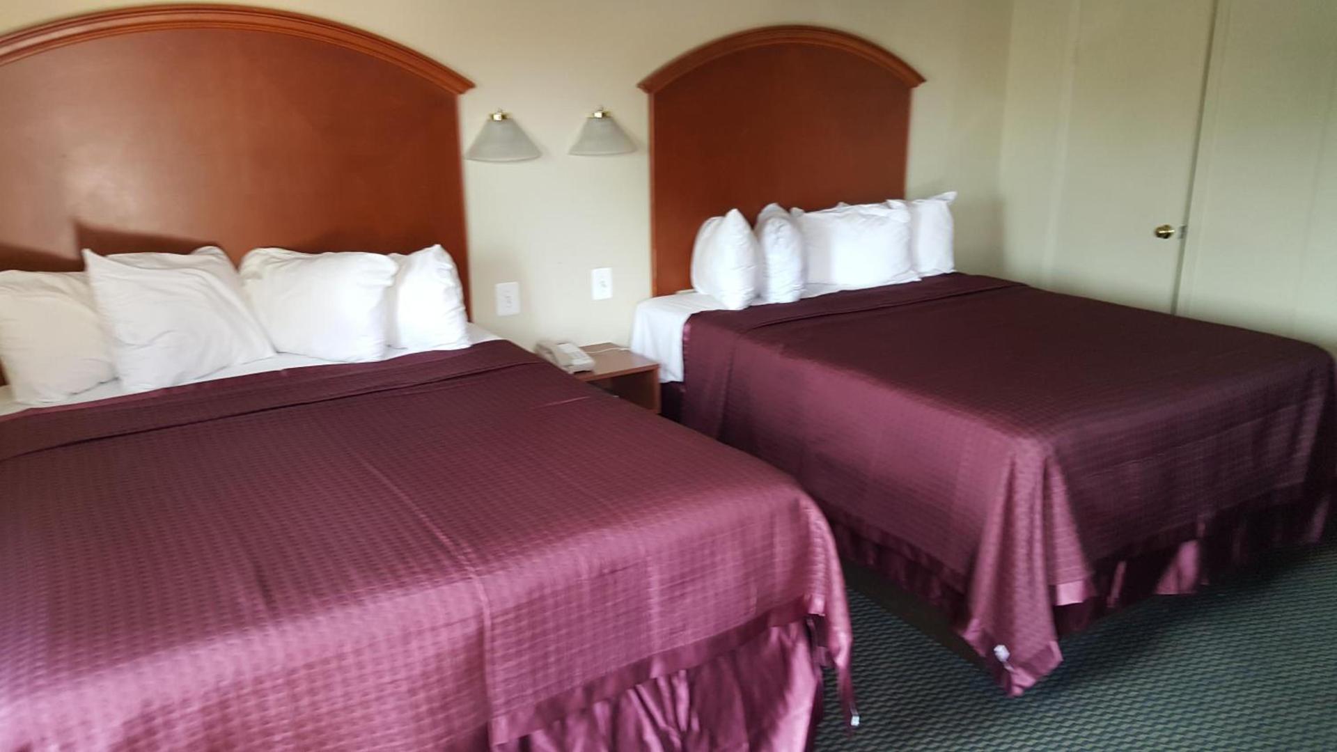 Royal Inn photo 8
