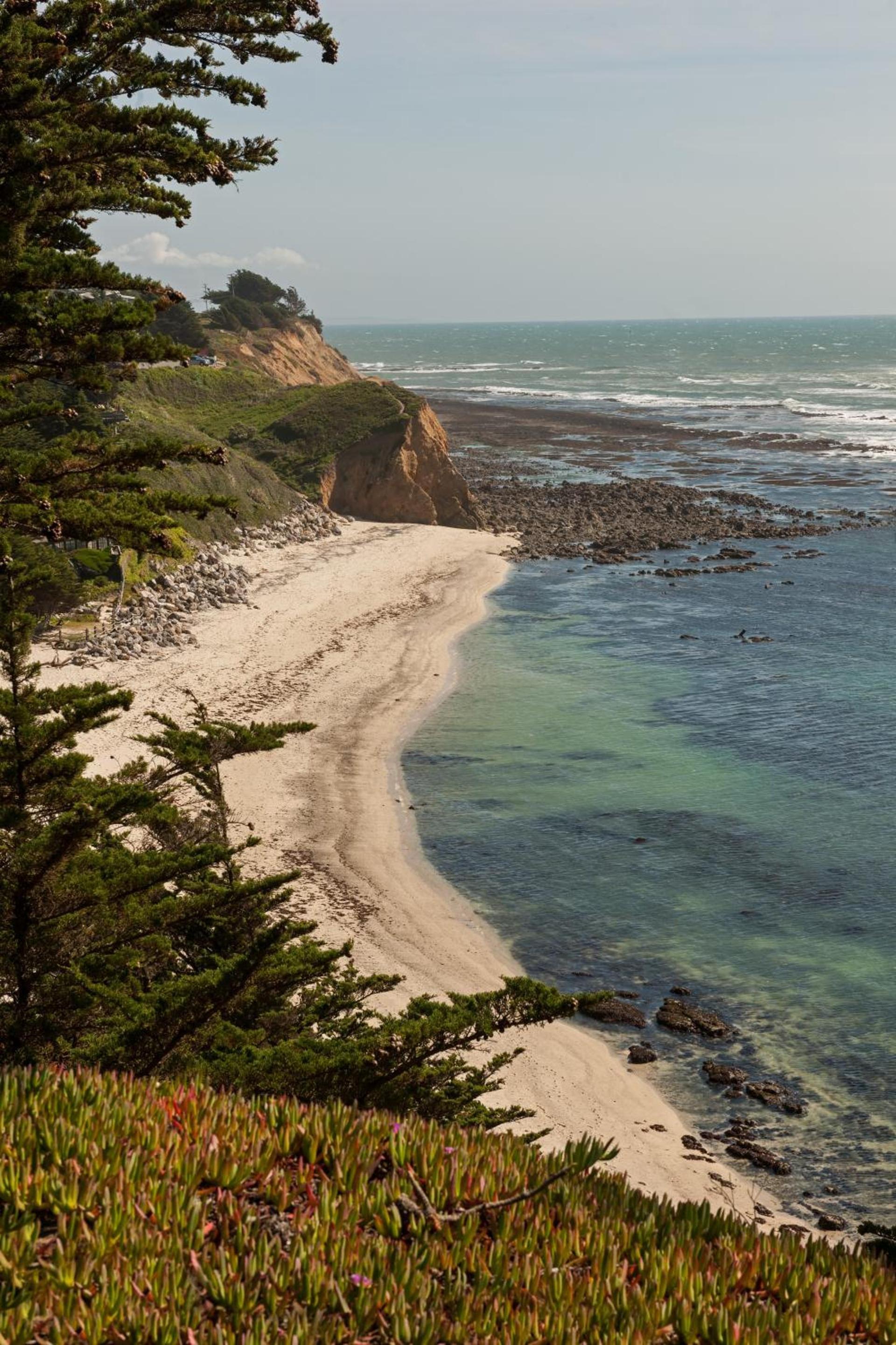 Seal Cove Inn photo 17