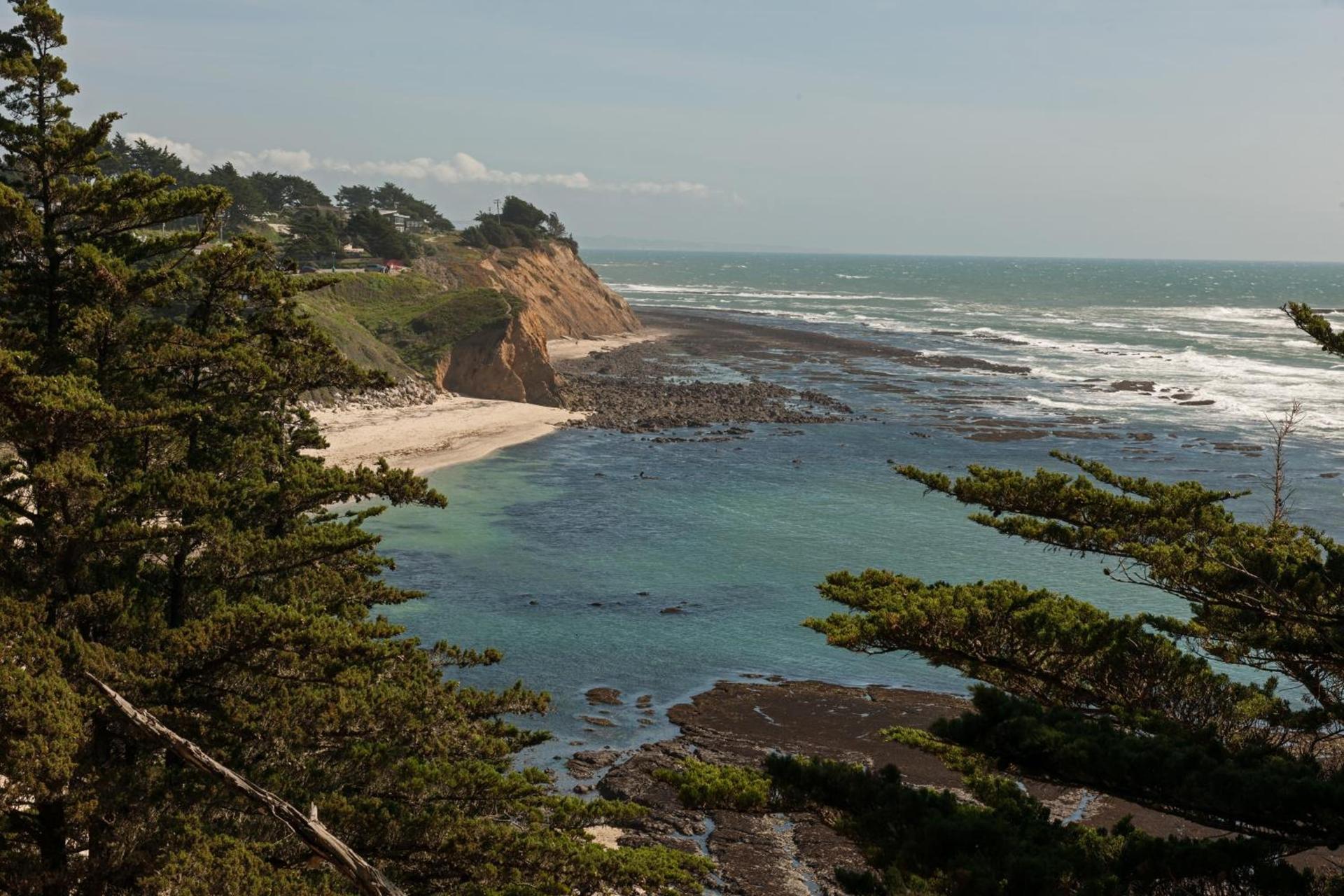 Seal Cove Inn photo 10