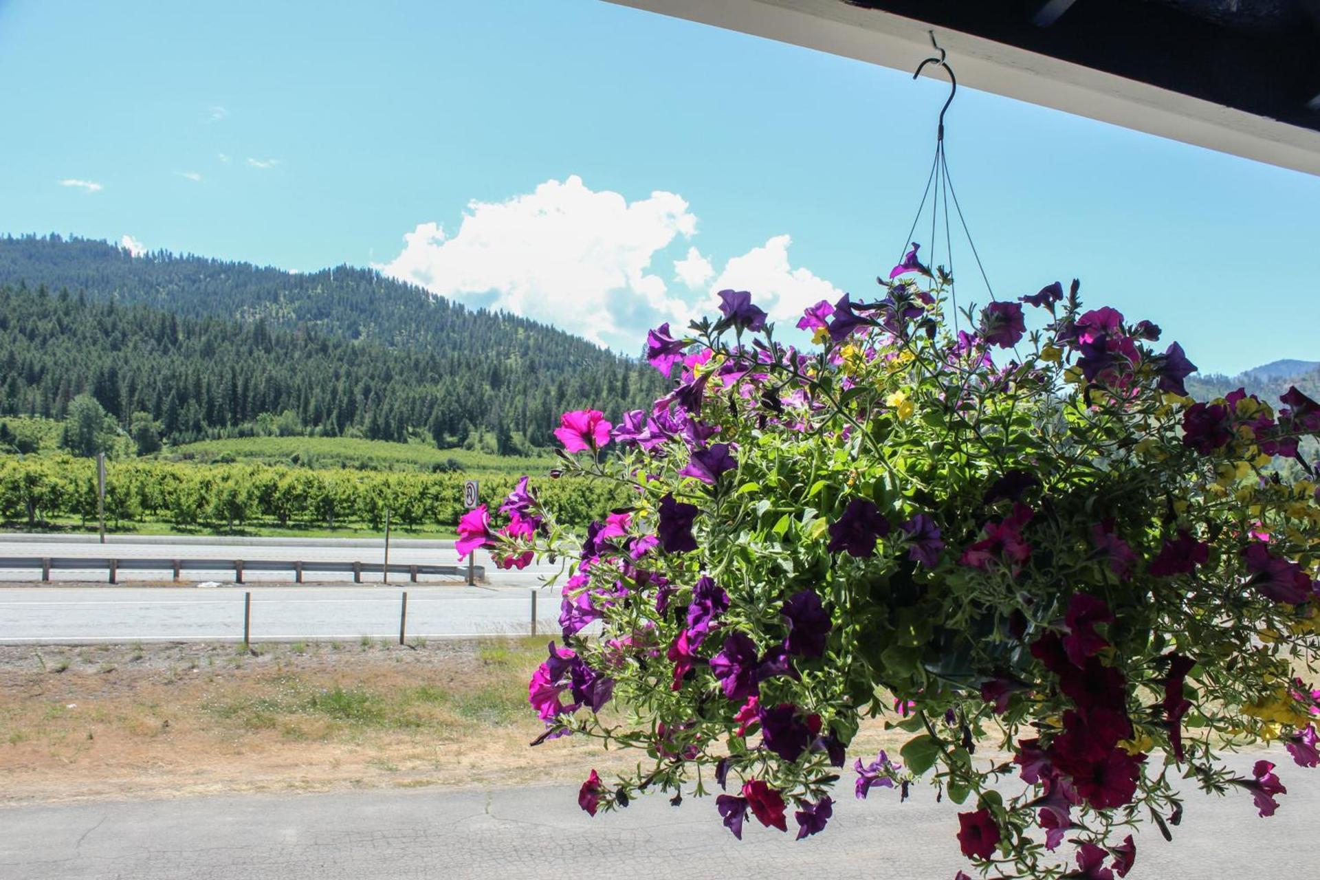 Wedge Mountain Inn photo 11
