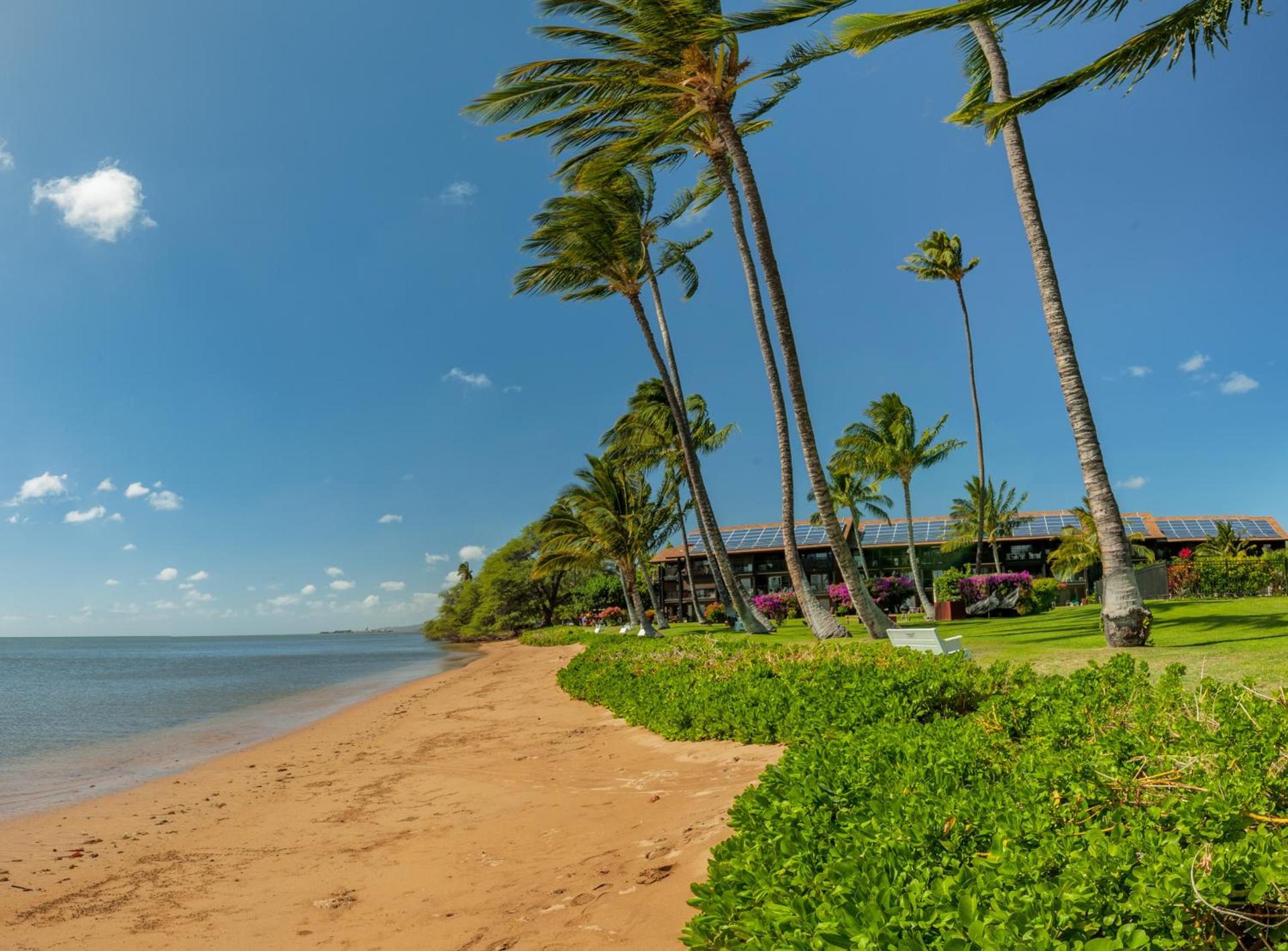 Castle at Moloka'i Shores photo 2