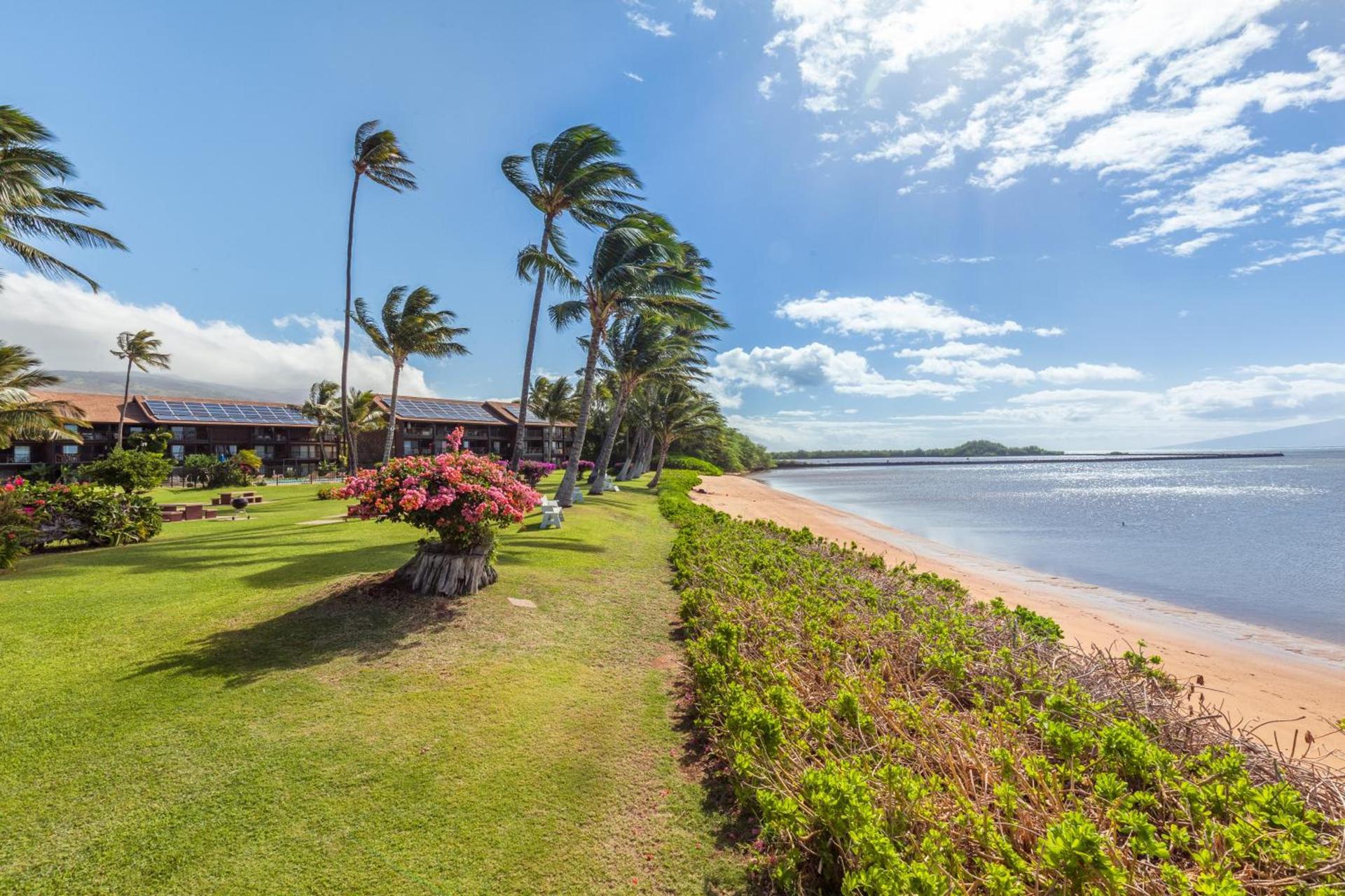 Castle at Moloka'i Shores photo 6