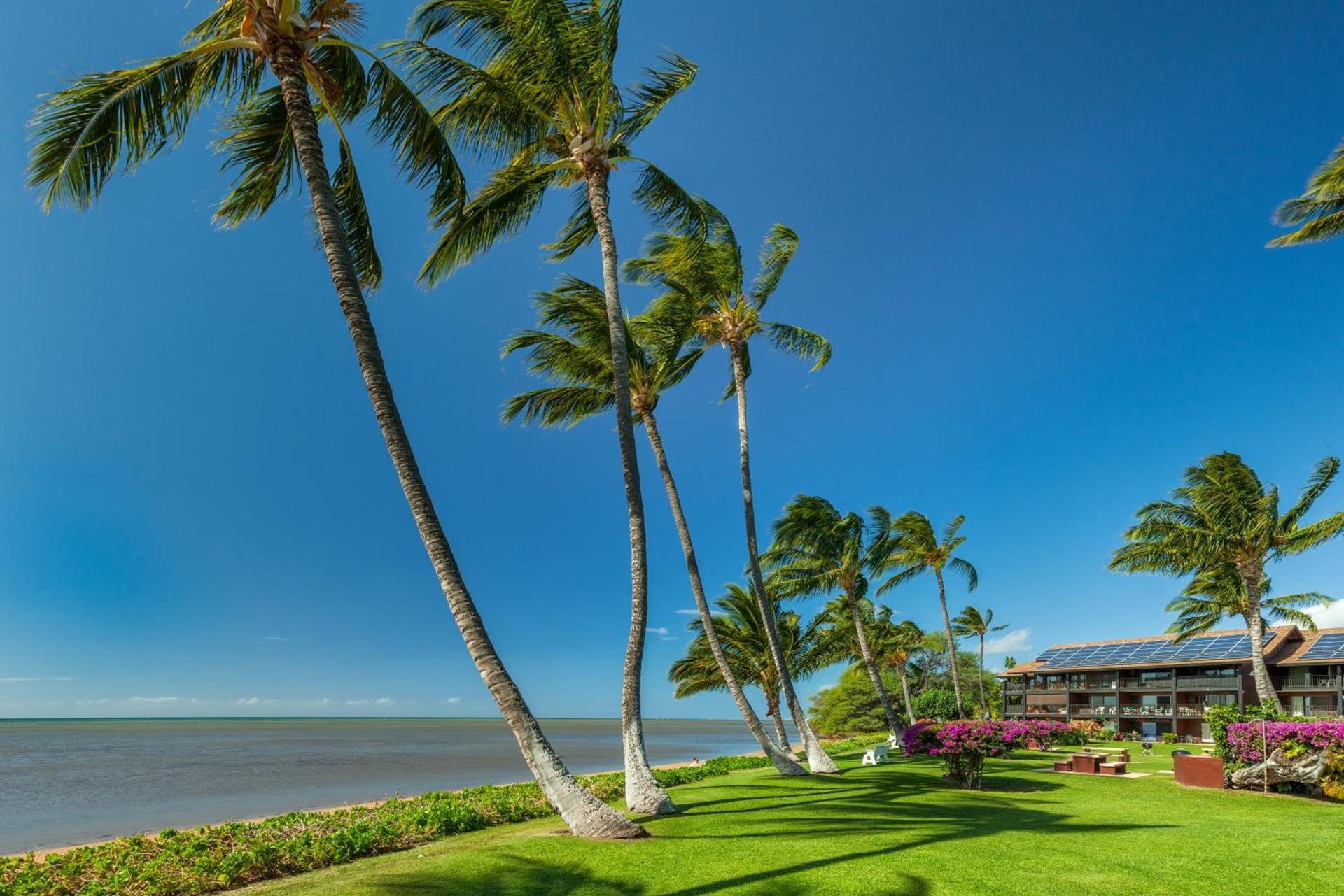 Castle at Moloka'i Shores photo 7
