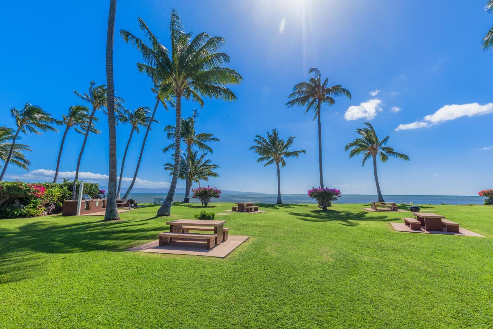 Castle at Moloka'i Shores photo 21