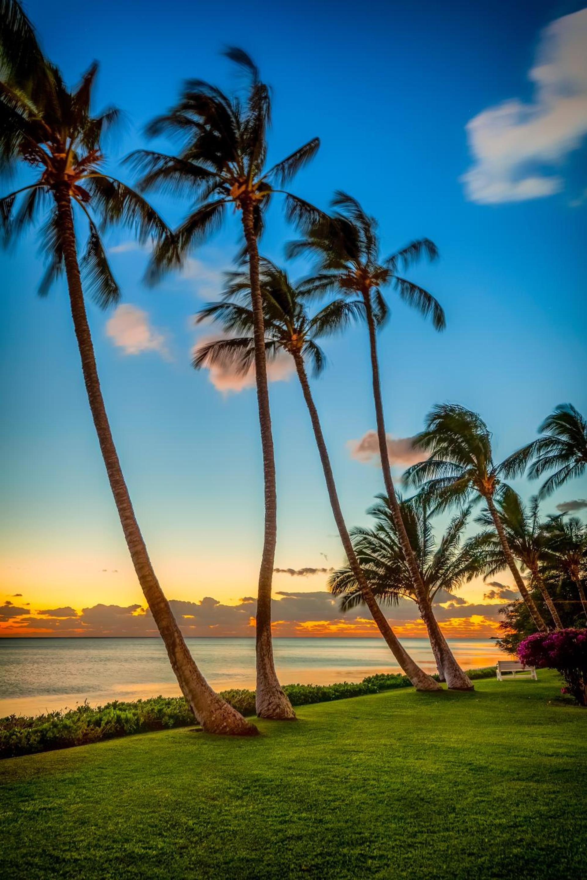 Castle at Moloka'i Shores photo 39