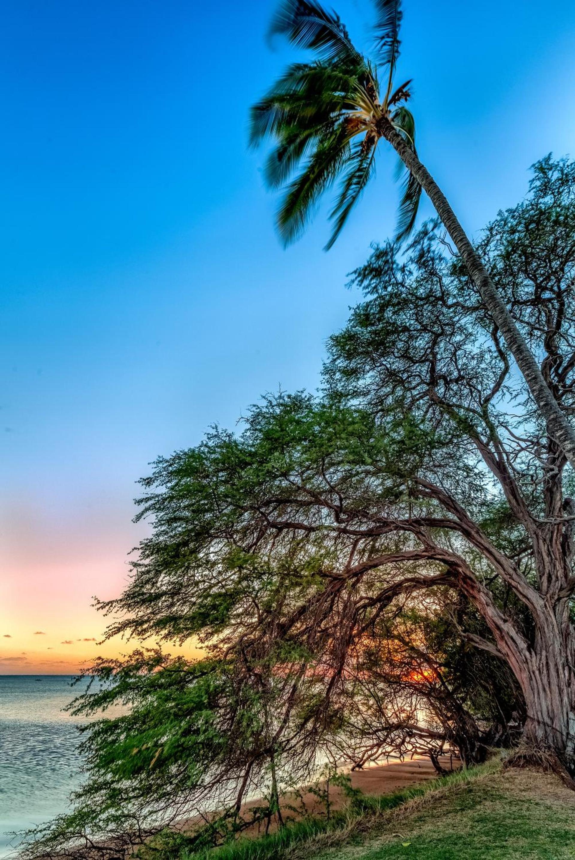 Castle at Moloka'i Shores photo 40