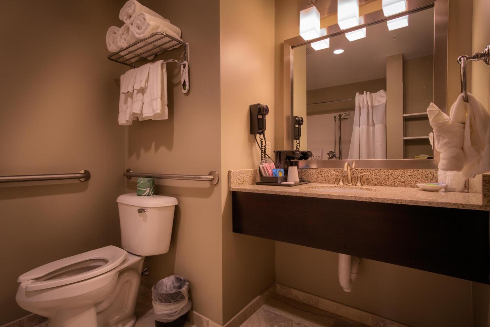 Sun & Ski Inn and Suites photo 66