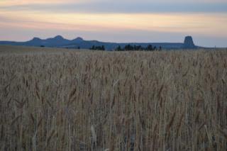 Sawin' Logs Inn photo 7