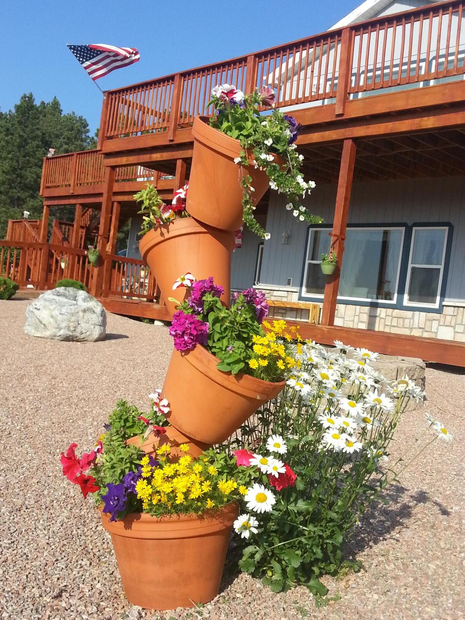 Sawin' Logs Inn photo 26