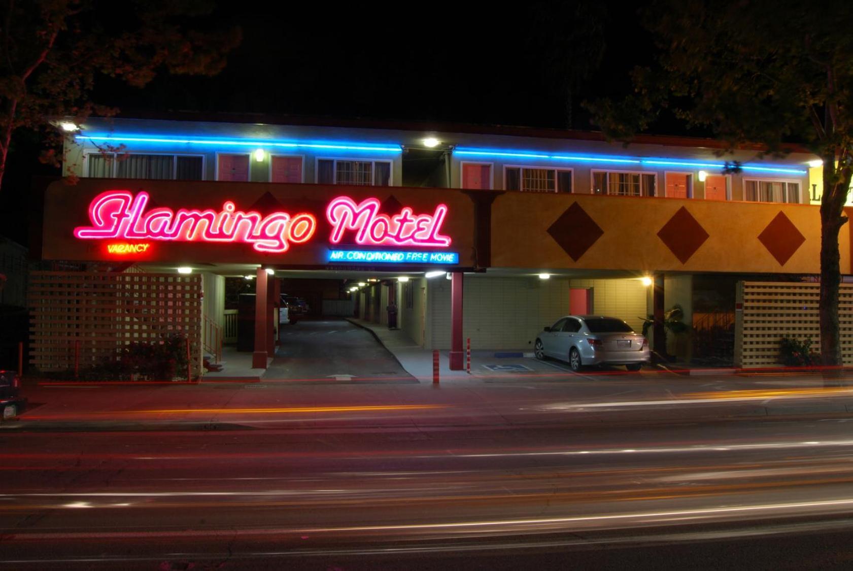 The Flamingo Motel San Jose photo 3