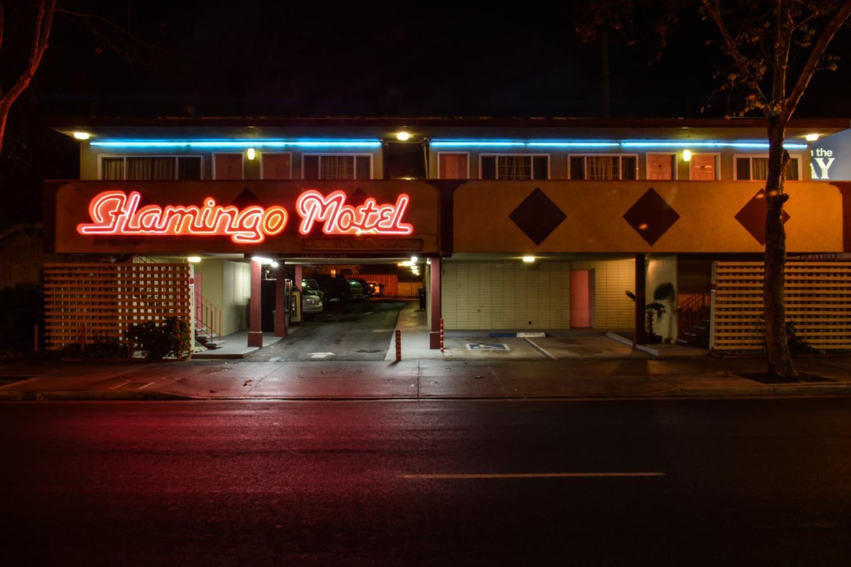 The Flamingo Motel San Jose photo 14