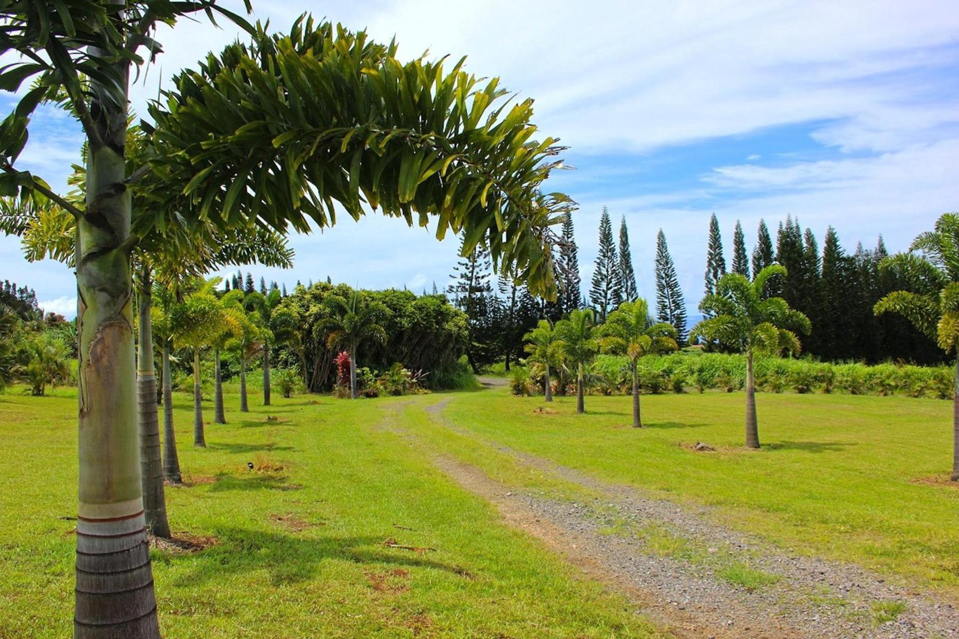 Mahana House Country Inn photo 28