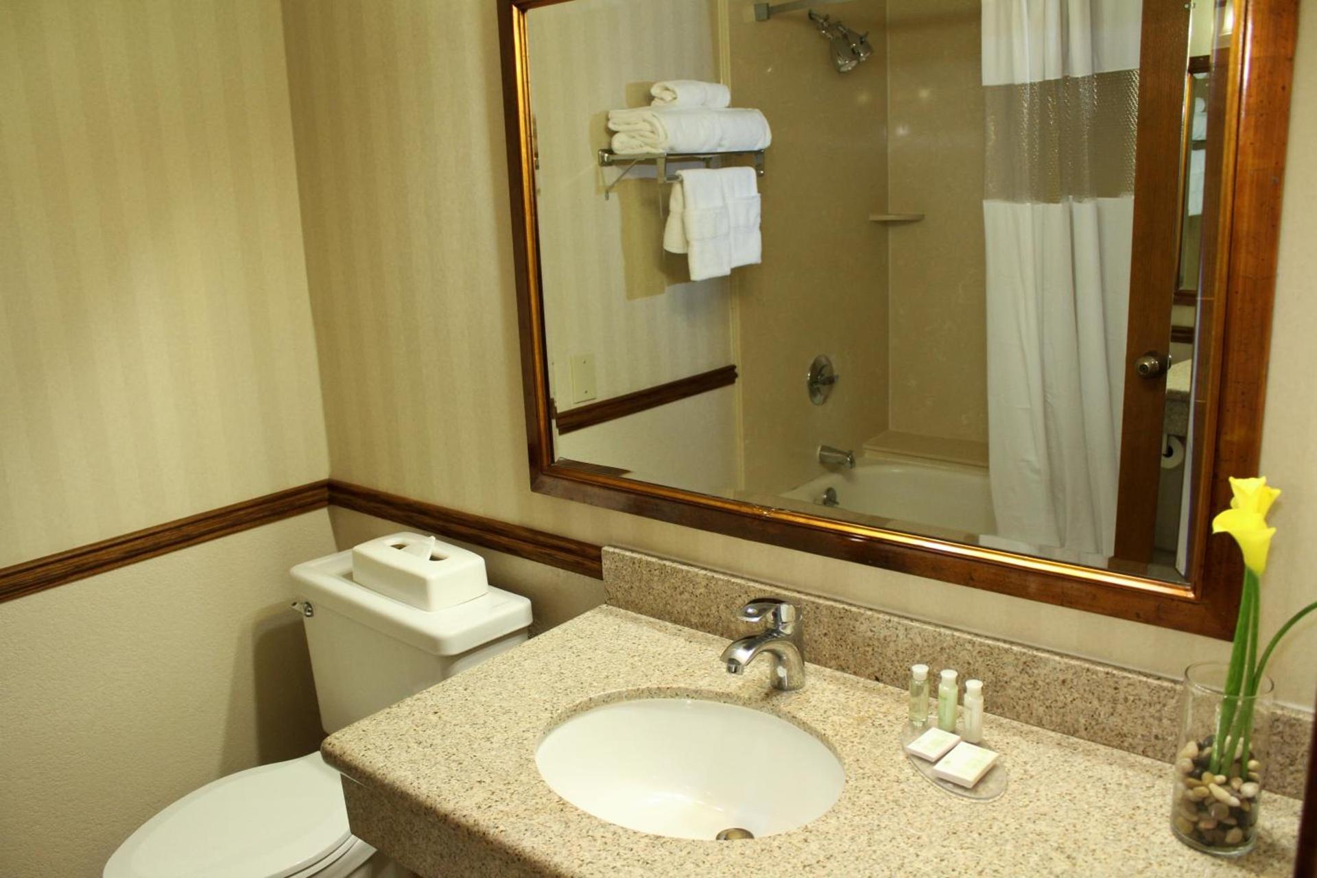University Square Hotel photo 4