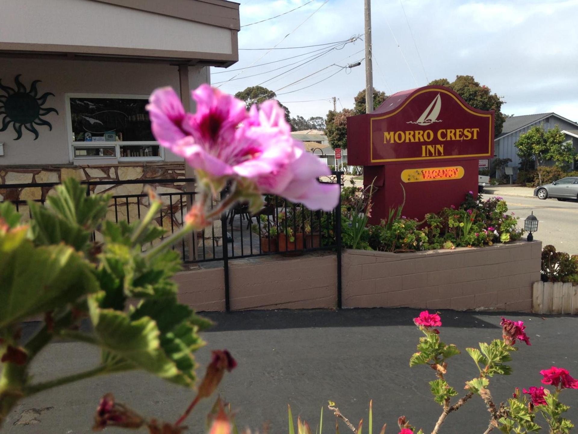 Morro Crest Inn photo 10