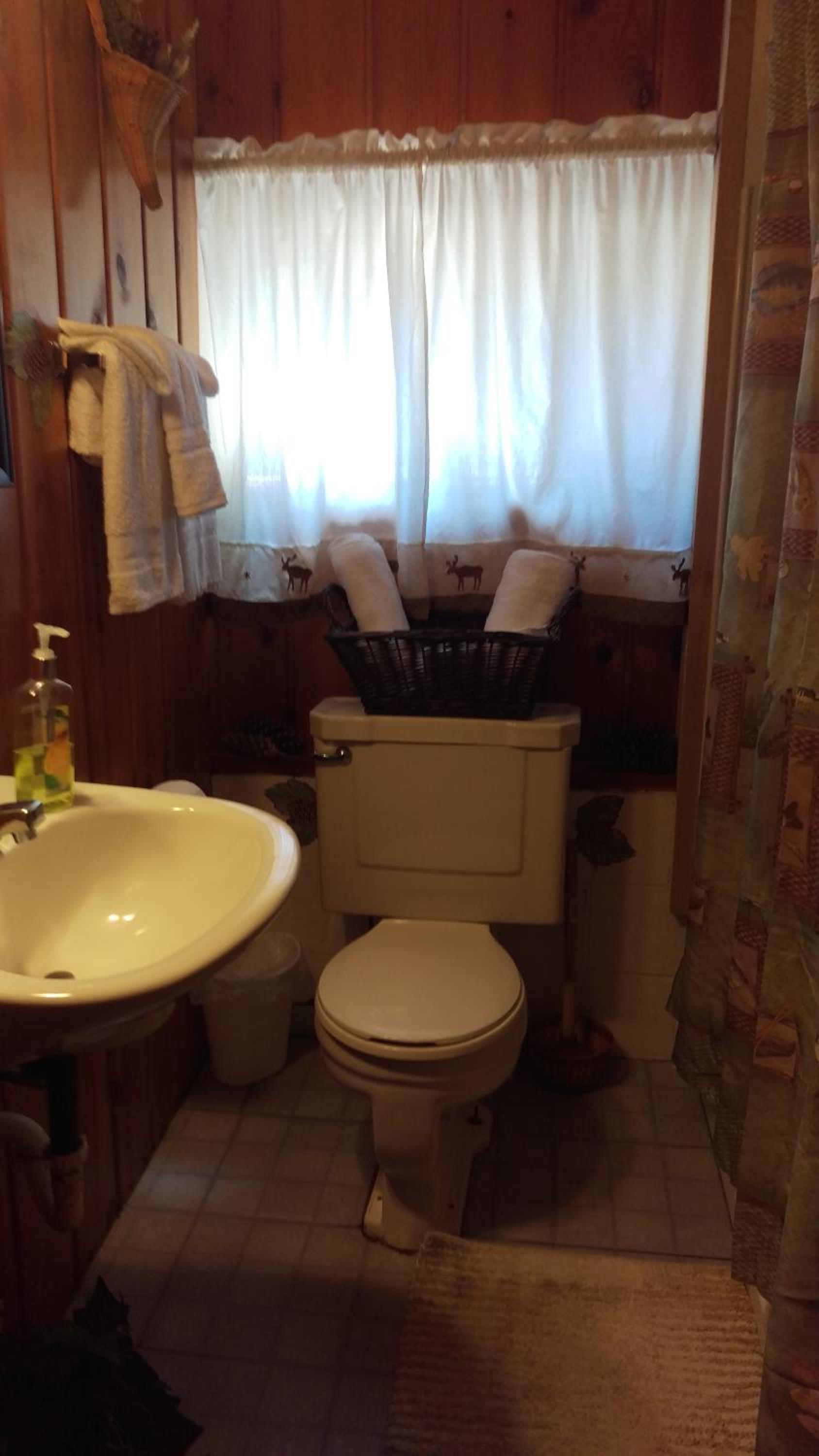 Alpine Motel photo 51
