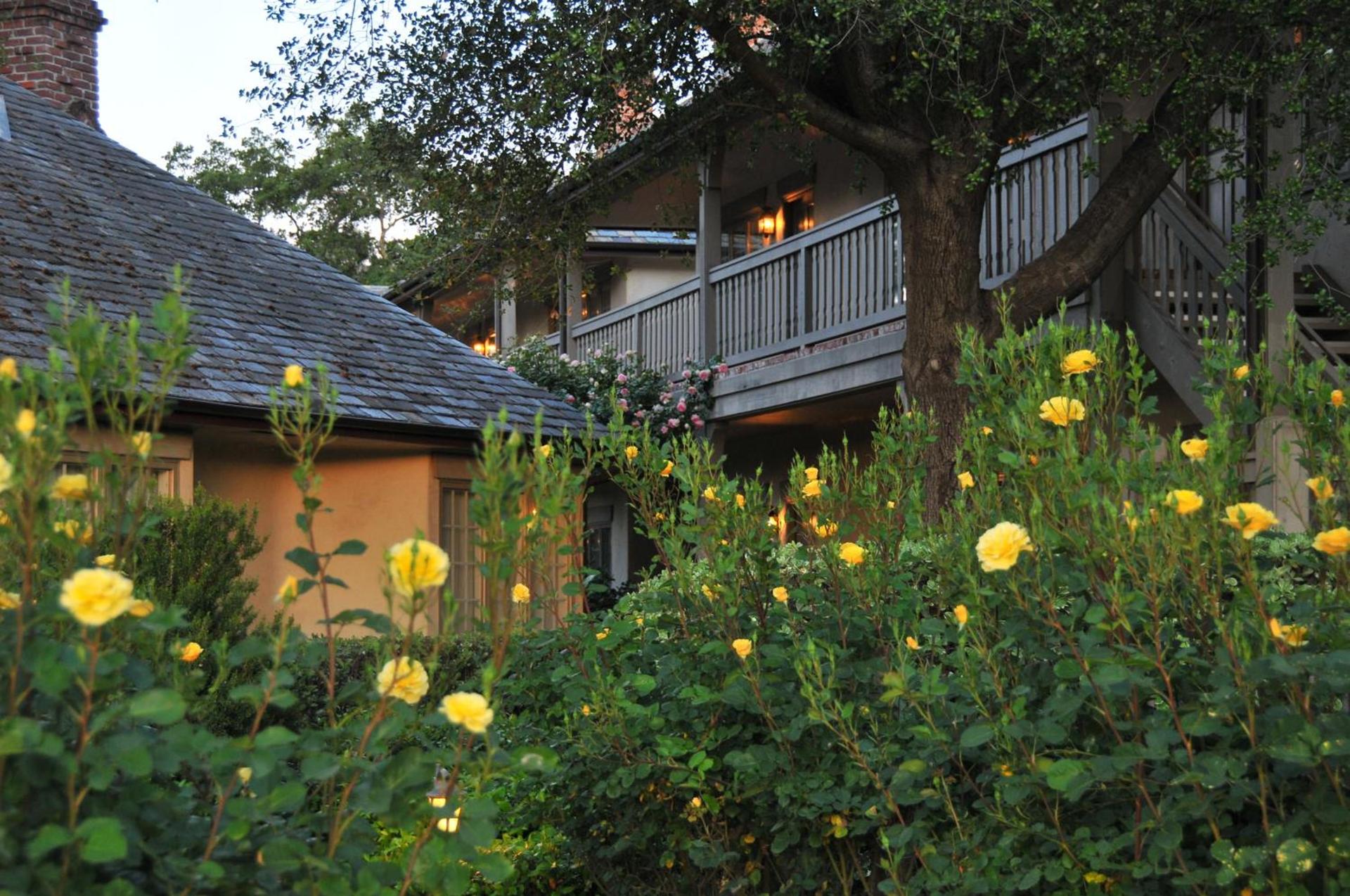 Vineyard Country Inn photo 16