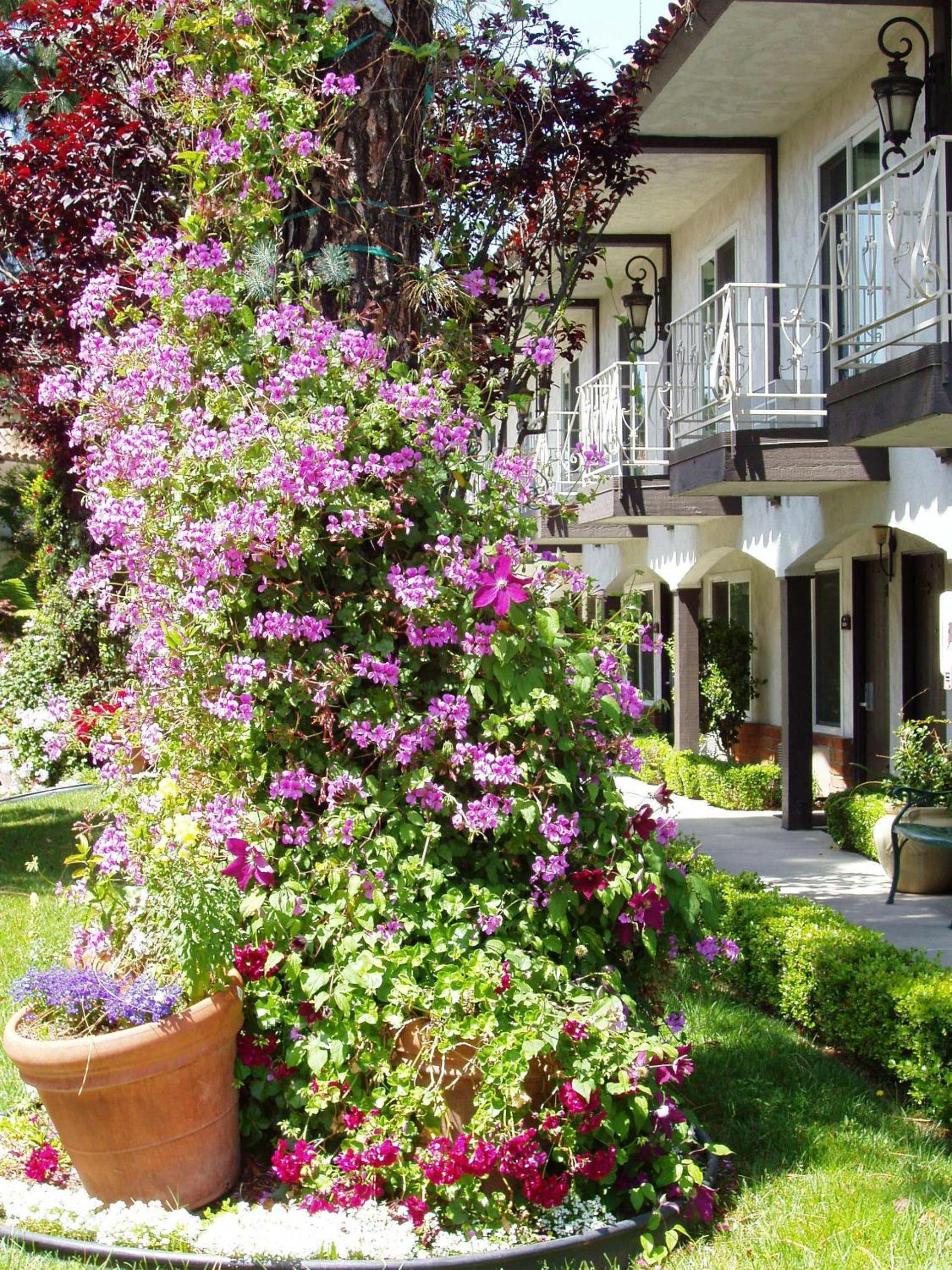 Laguna Hills Lodge-Irvine Spectrum photo 4