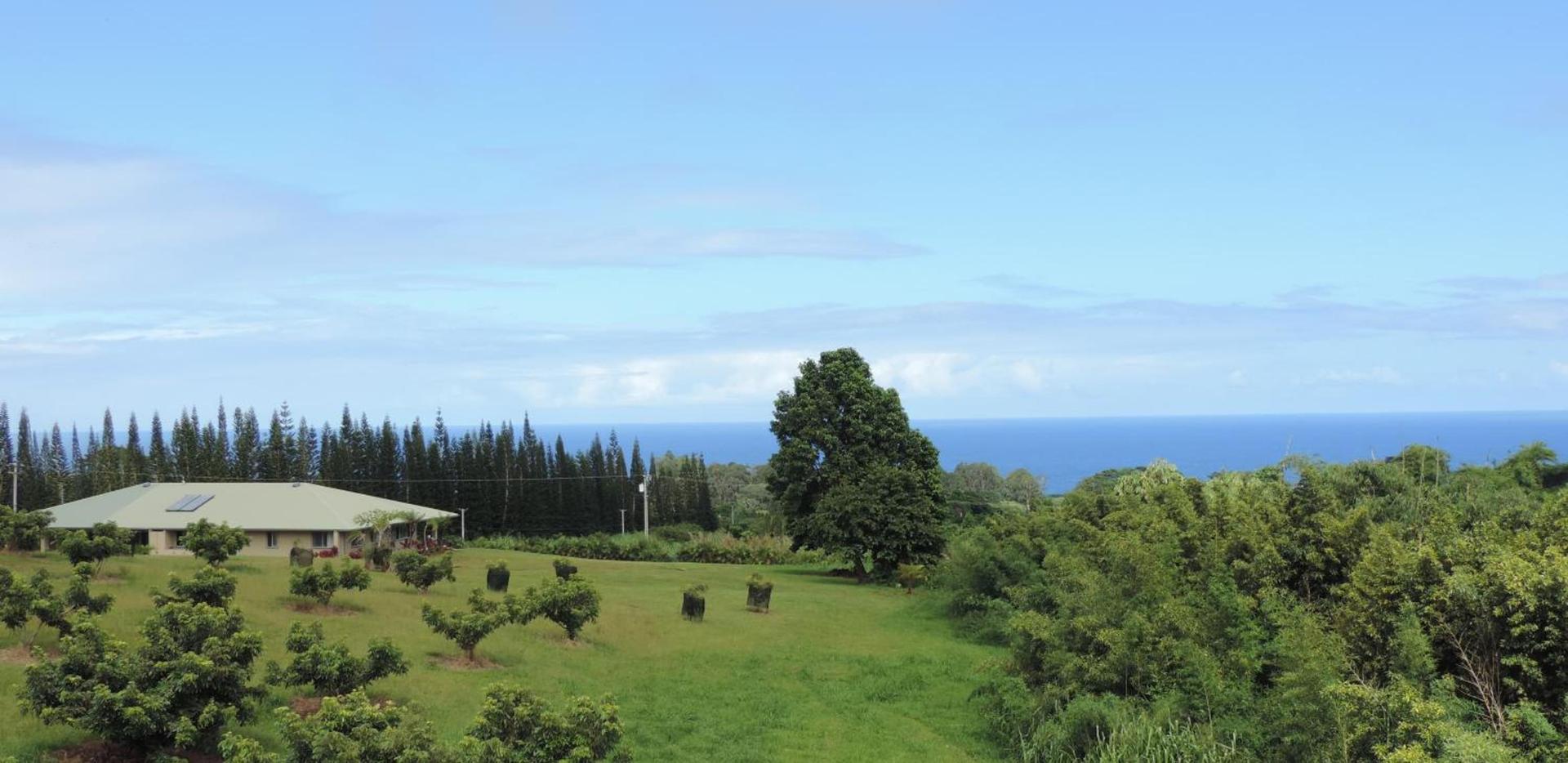 Mahana House Country Inn photo 26