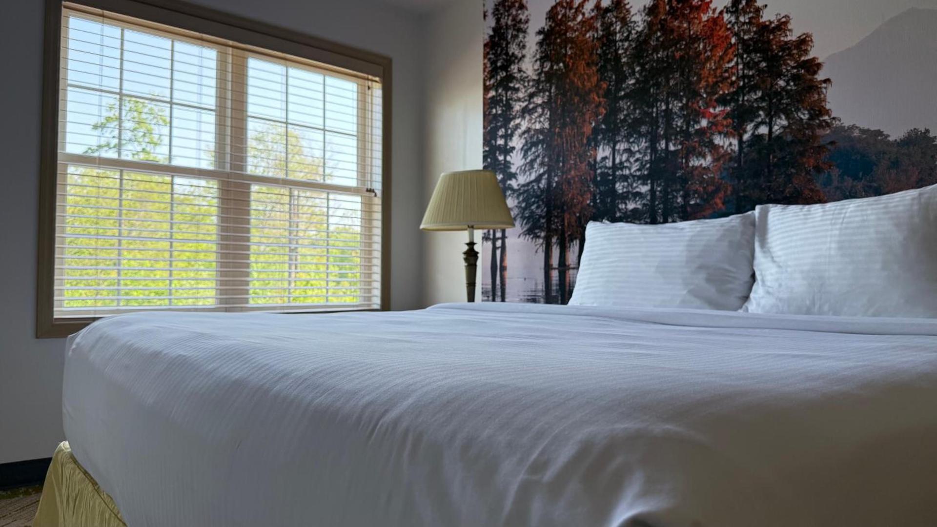 Split Rock Resort photo 93