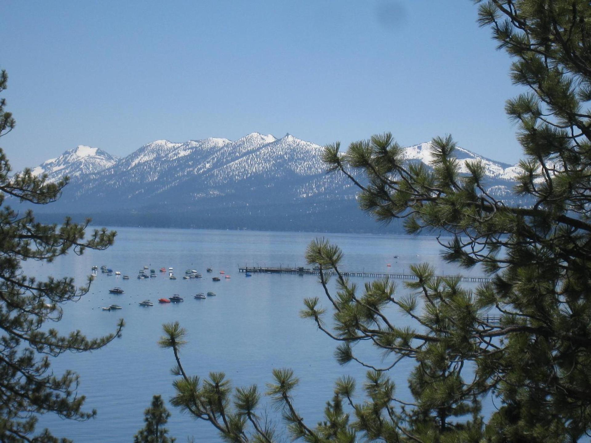 Pepper Tree Inn Tahoe City photo 9