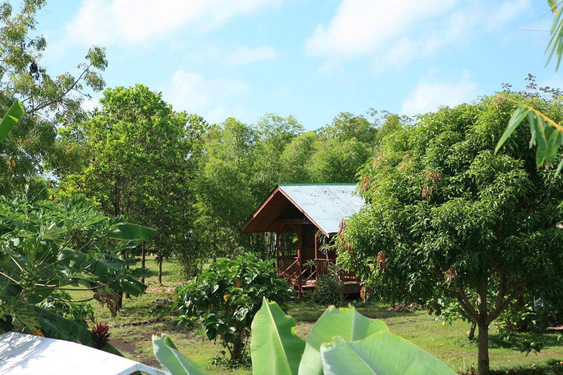 Kirpal Meditation and Ecological Center photo 88