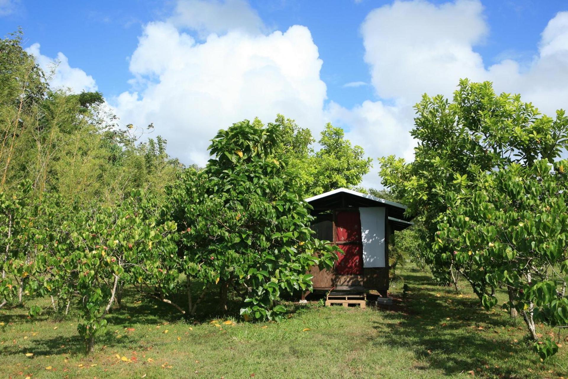 Kirpal Meditation and Ecological Center photo 80