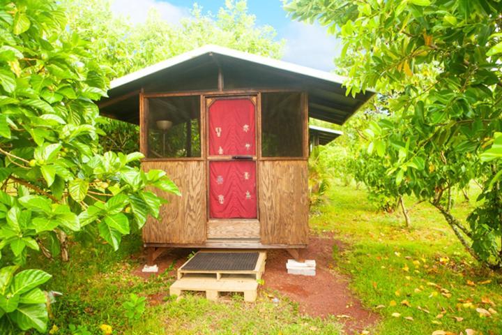 Kirpal Meditation and Ecological Center photo 81
