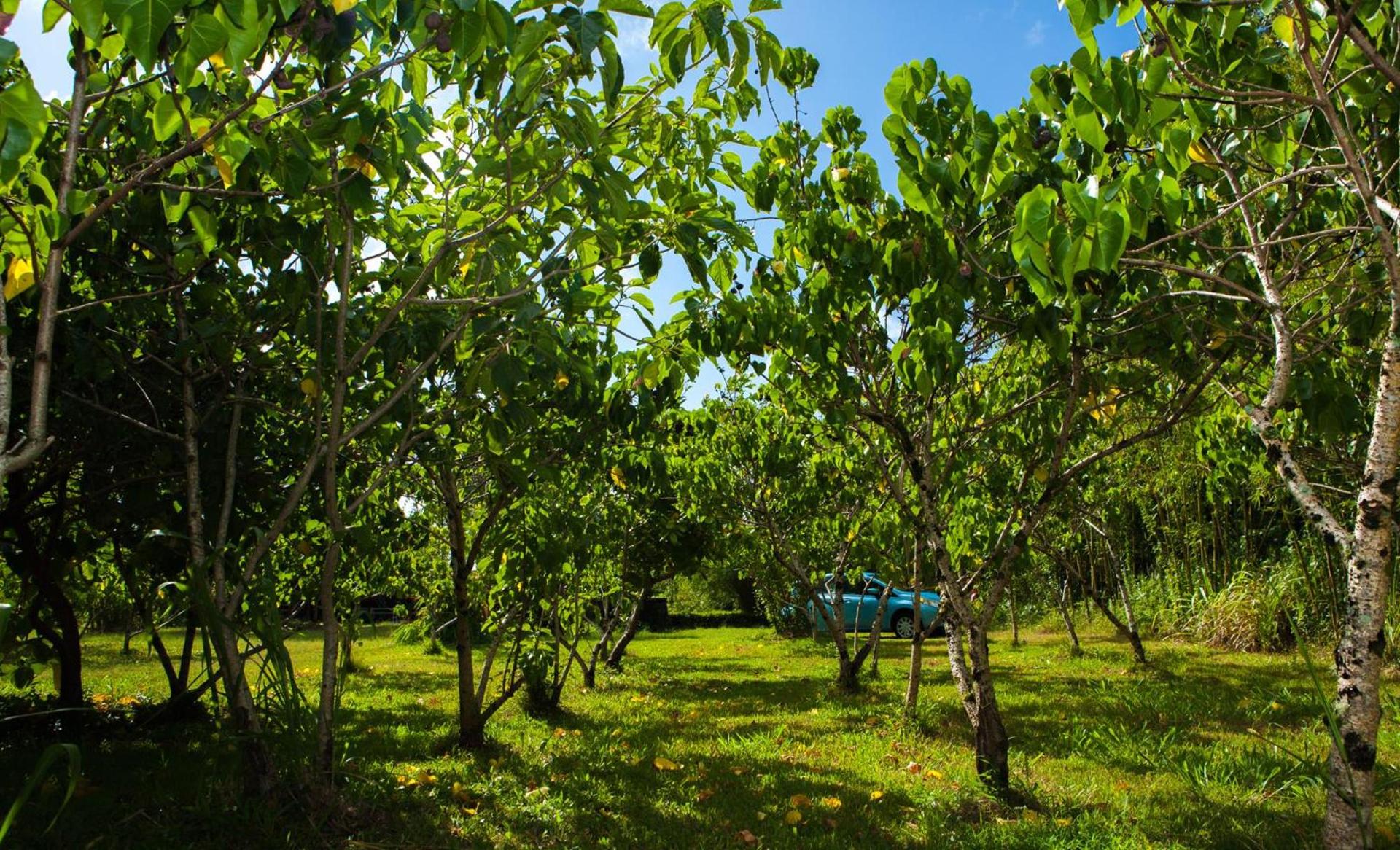 Kirpal Meditation and Ecological Center photo 83
