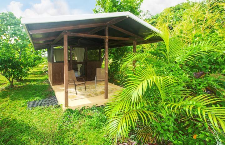Kirpal Meditation and Ecological Center photo 77