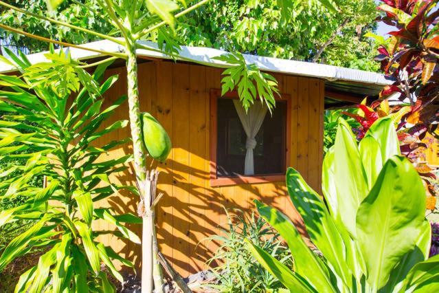 Kirpal Meditation and Ecological Center photo 69