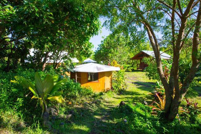 Kirpal Meditation and Ecological Center photo 72