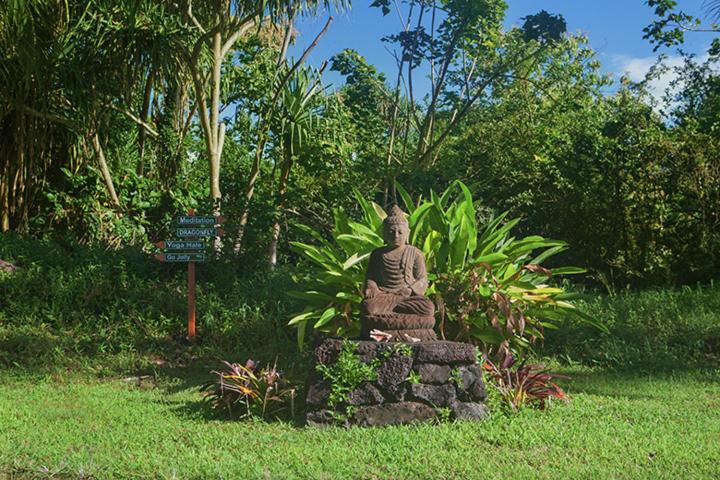 Kirpal Meditation and Ecological Center photo 31